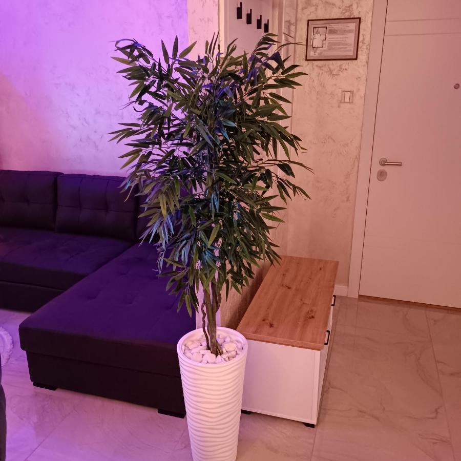 Rb Apartment 3 Lux Smart House Subotica Buitenkant foto